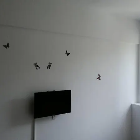 Cazare Neptun Centru Apartamento Neptun